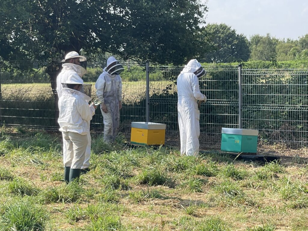 RSE ABEILLES